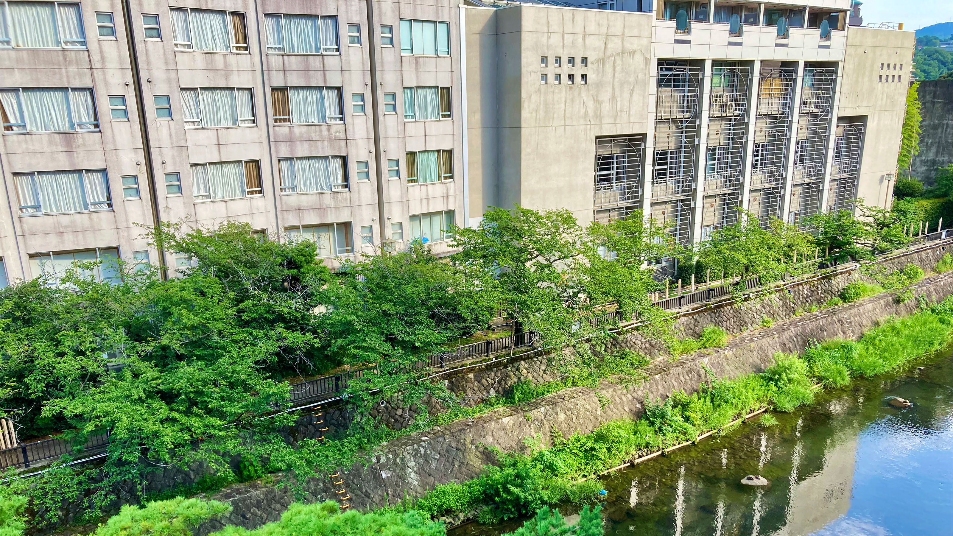 伊東温泉　伊東園ホテル - 写真 25