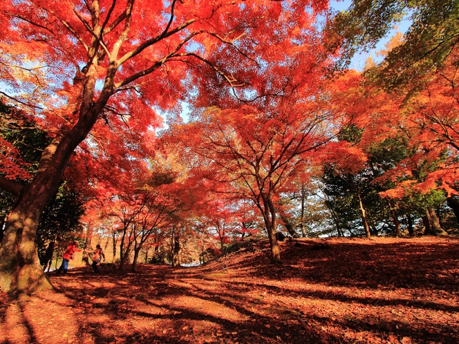 一碧湖の紅葉