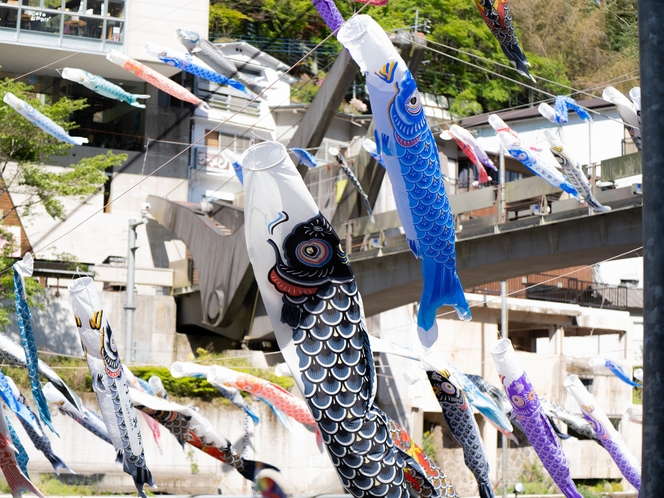 杖立温泉鯉のぼり祭り