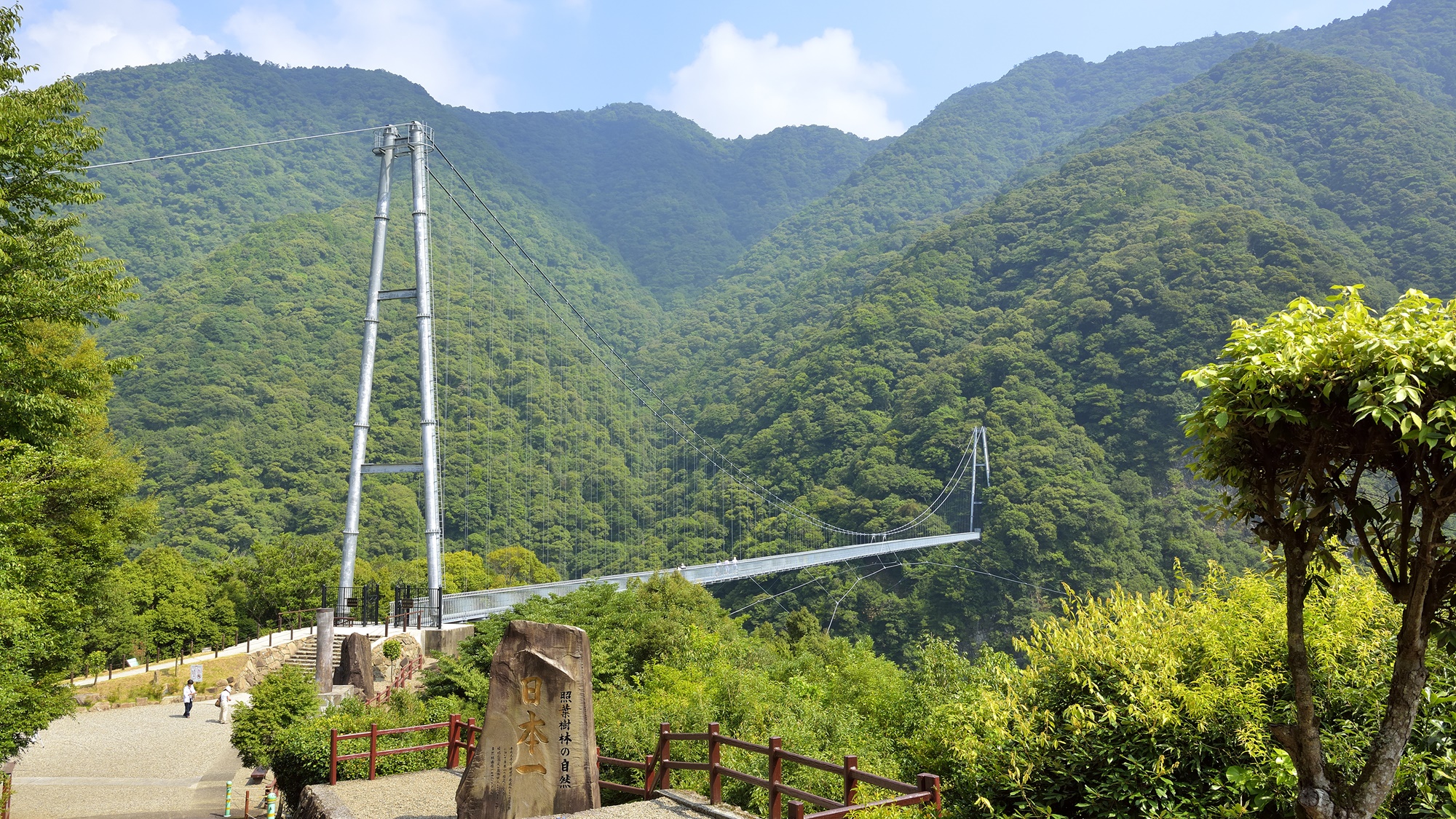 【照葉大吊橋】照葉樹林を守るために架けられた“日本最大級”の高さを誇る大吊橋です。