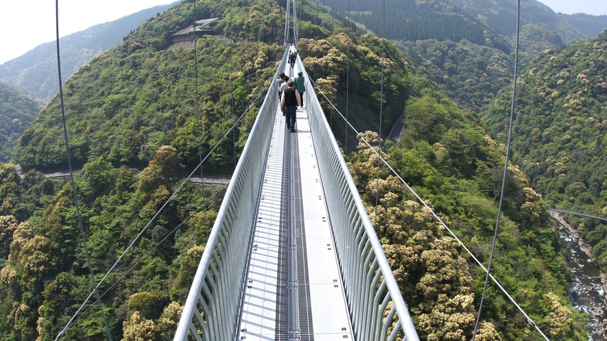 【照葉大吊橋】照葉樹林を守るために架けられた“日本最大級”の高さを誇る大吊橋です。