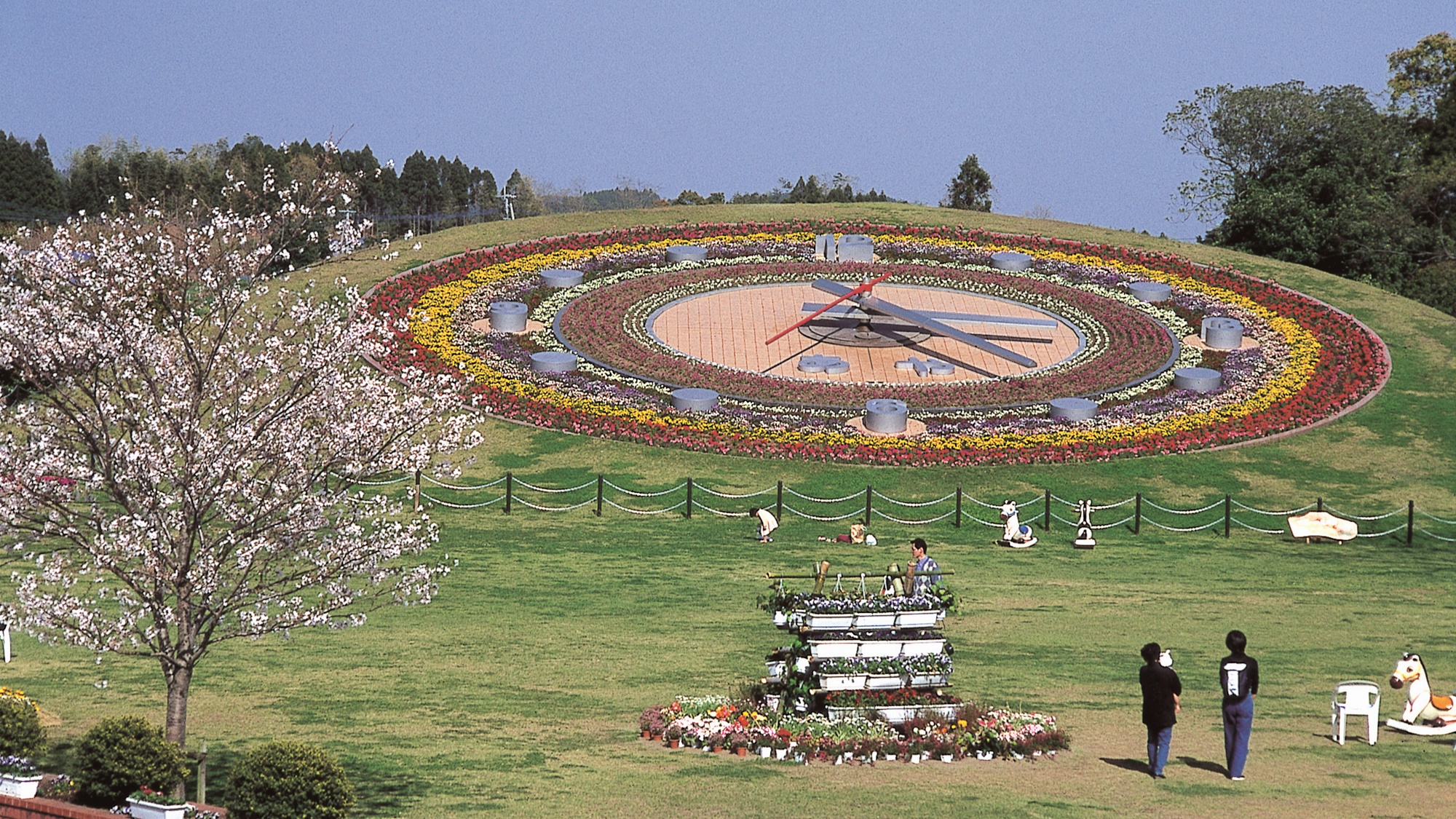 【馬事公苑の花時計】直径28ｍ！西日本一の大きさを誇る花時計です。四季折々の花々が彩っています
