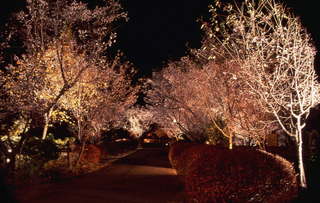 冬桜の宿 神泉 写真 動画 楽天トラベル