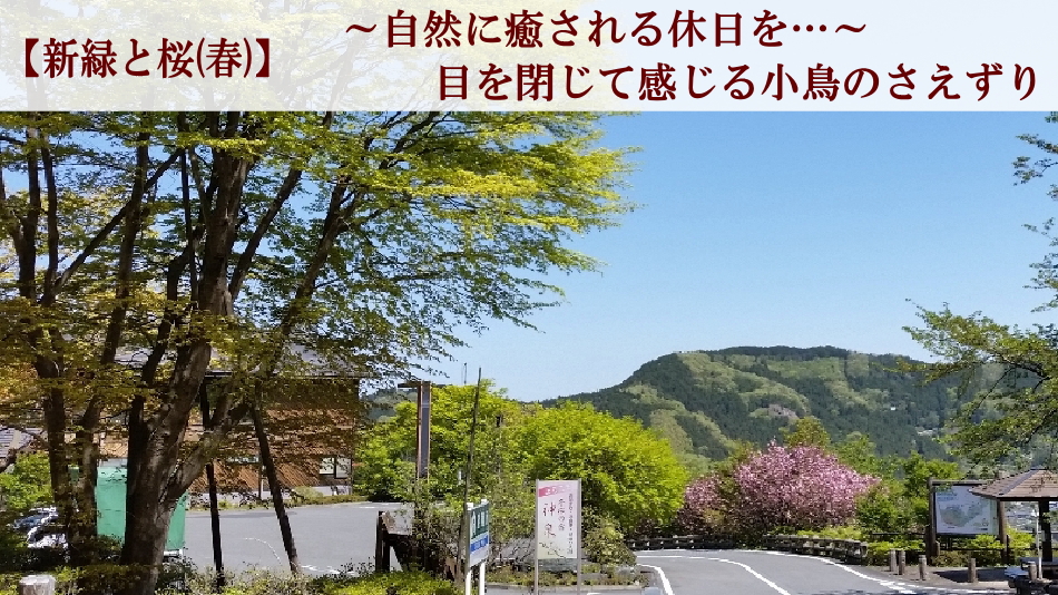 冬桜の宿 神泉 宿泊予約 楽天トラベル