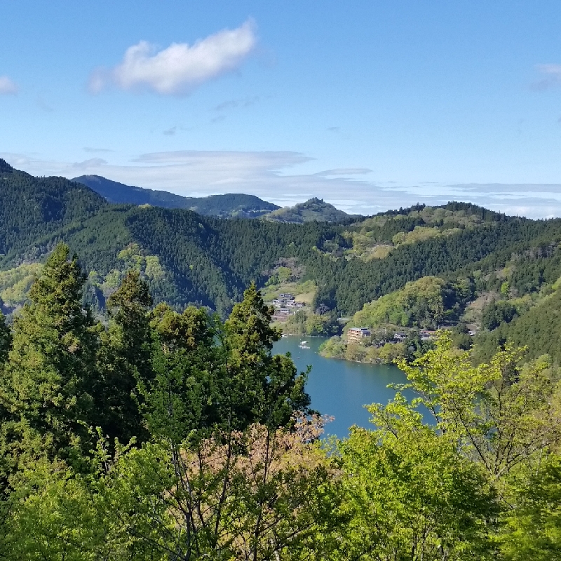 冬桜の宿 神泉 写真 動画 楽天トラベル 冬桜の宿 神泉 写真 動画 楽天トラベル