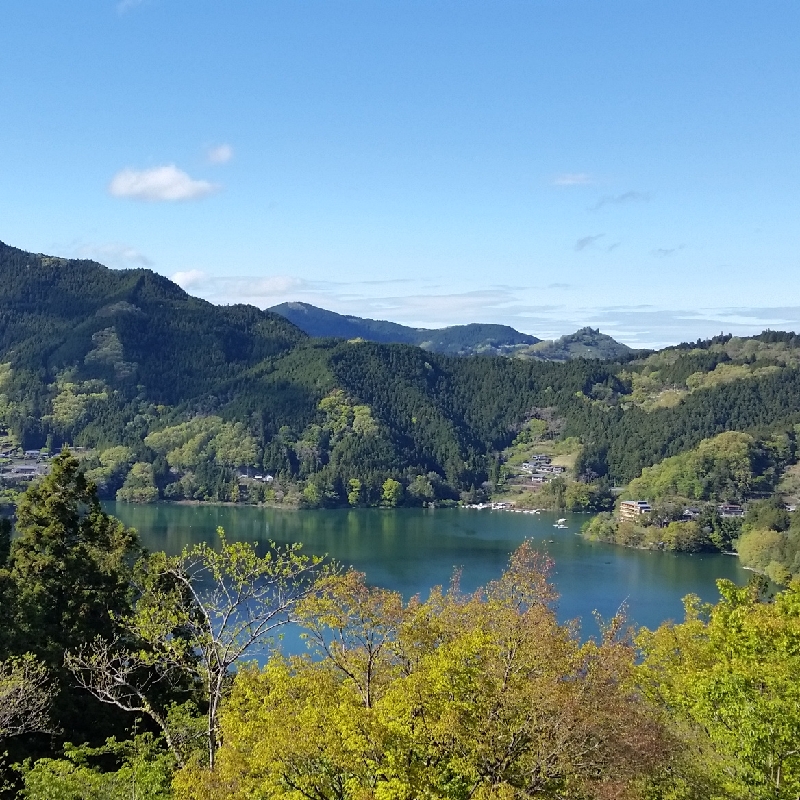 冬桜の宿 神泉 写真 動画 楽天トラベル