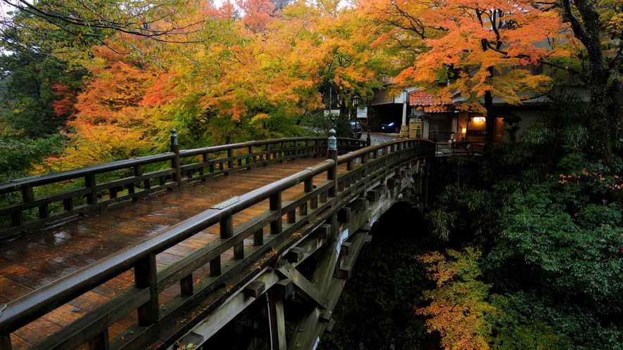 【山中温泉】こおろぎ橋（紅葉）