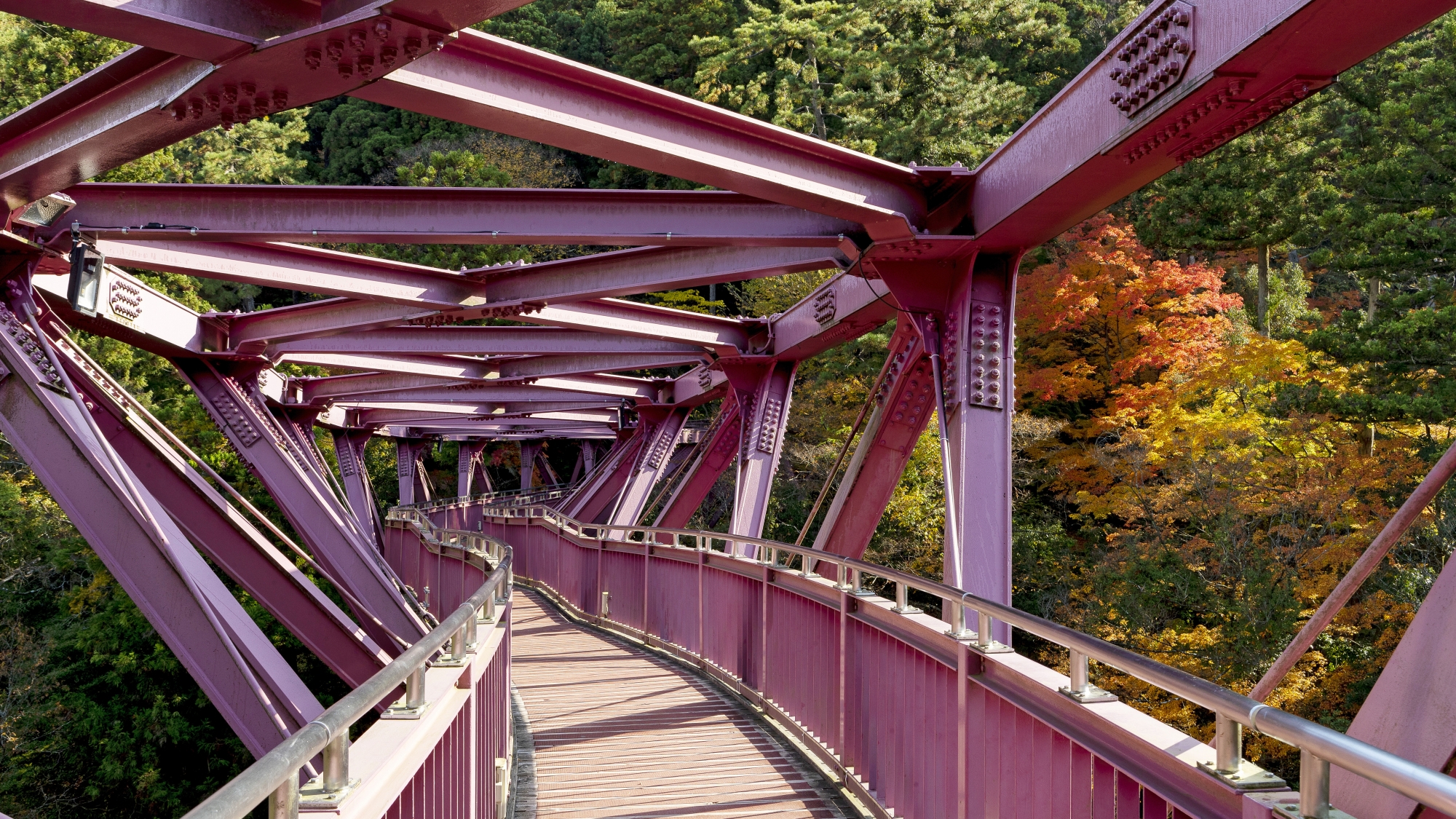【周辺観光】あやとり橋：美しい紅紫色と紅葉した木々が美しい。撮影スポットとしても人気（徒歩5分）