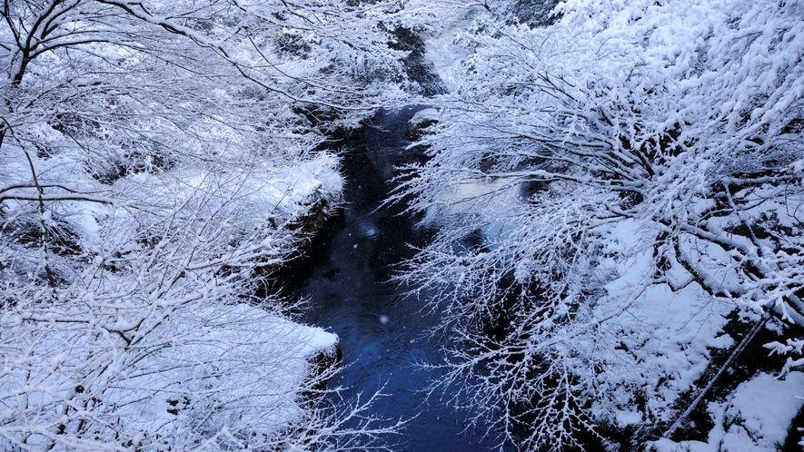 【周辺観光】鶴仙渓：芭蕉が俳句にも詠んだとされる雪景色は言うまでもなく絶景（徒歩5分）