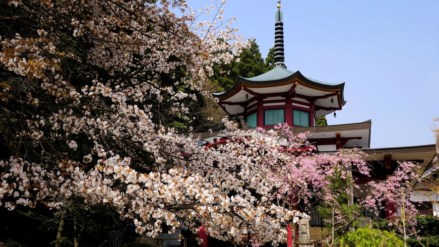 【周辺観光】国分山「医王寺」：高台にあり山中の湯の街を見下ろすこともできる（徒歩10分）