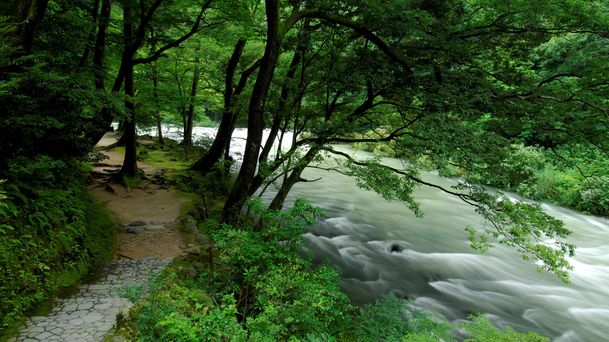 【山中温泉】鶴仙渓