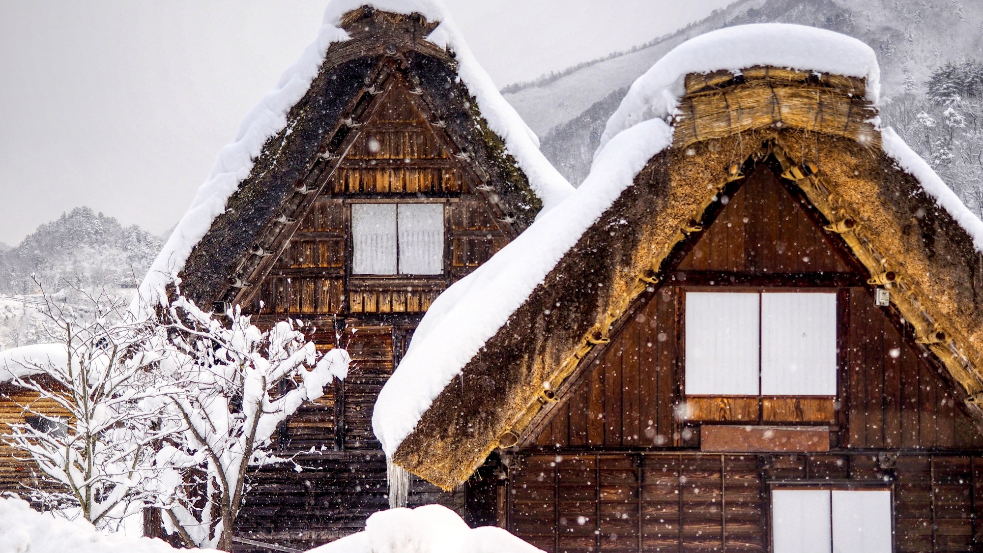 【周辺観光】白川郷：合掌造りの集落が有名で、冬季は銀世界に包まれた幻想的な姿を魅せる（お車120分）