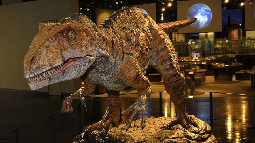 【周辺観光】福井恐竜博物館：迫力ある展示品の数々を楽しめる（お車60分／出典：福井県立恐竜博物館）