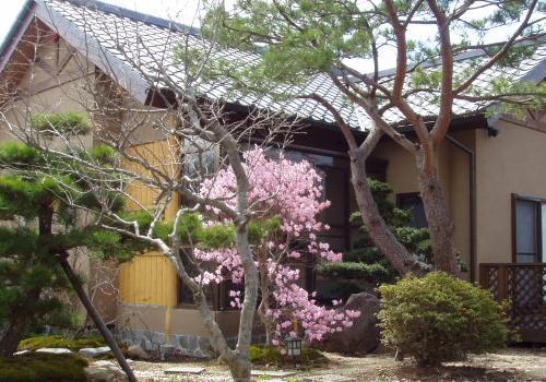 rMaple eksterior 500350