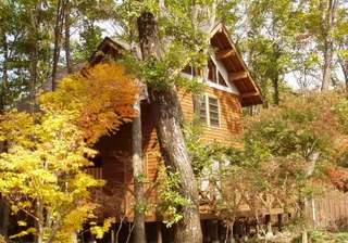 r山つつじ秋500350