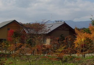 rもみじ庭②500350