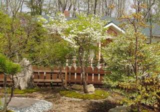 rもみじ庭③500350