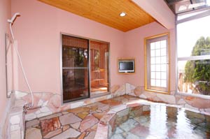 「椿」石風呂付き　和洋室