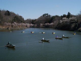 春の丹生湖