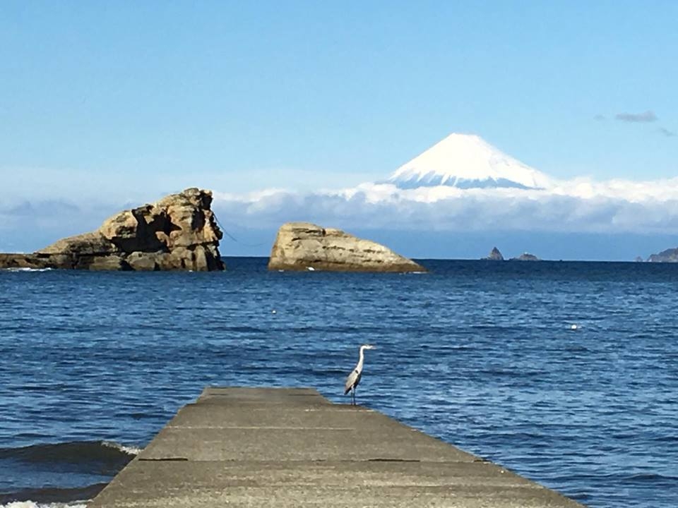 素泊まりプラン