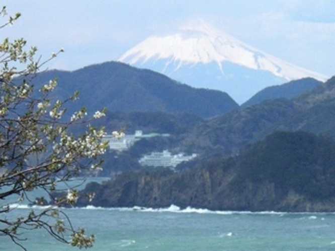 松崎の海kら見える富士