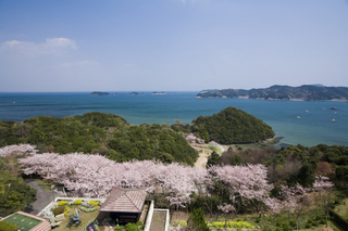 桜の見頃は例年、3月下旬～4月初旬