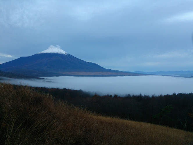 ＜富士山＞