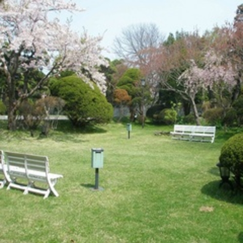 自慢の歴史ある庭園【4月桜】