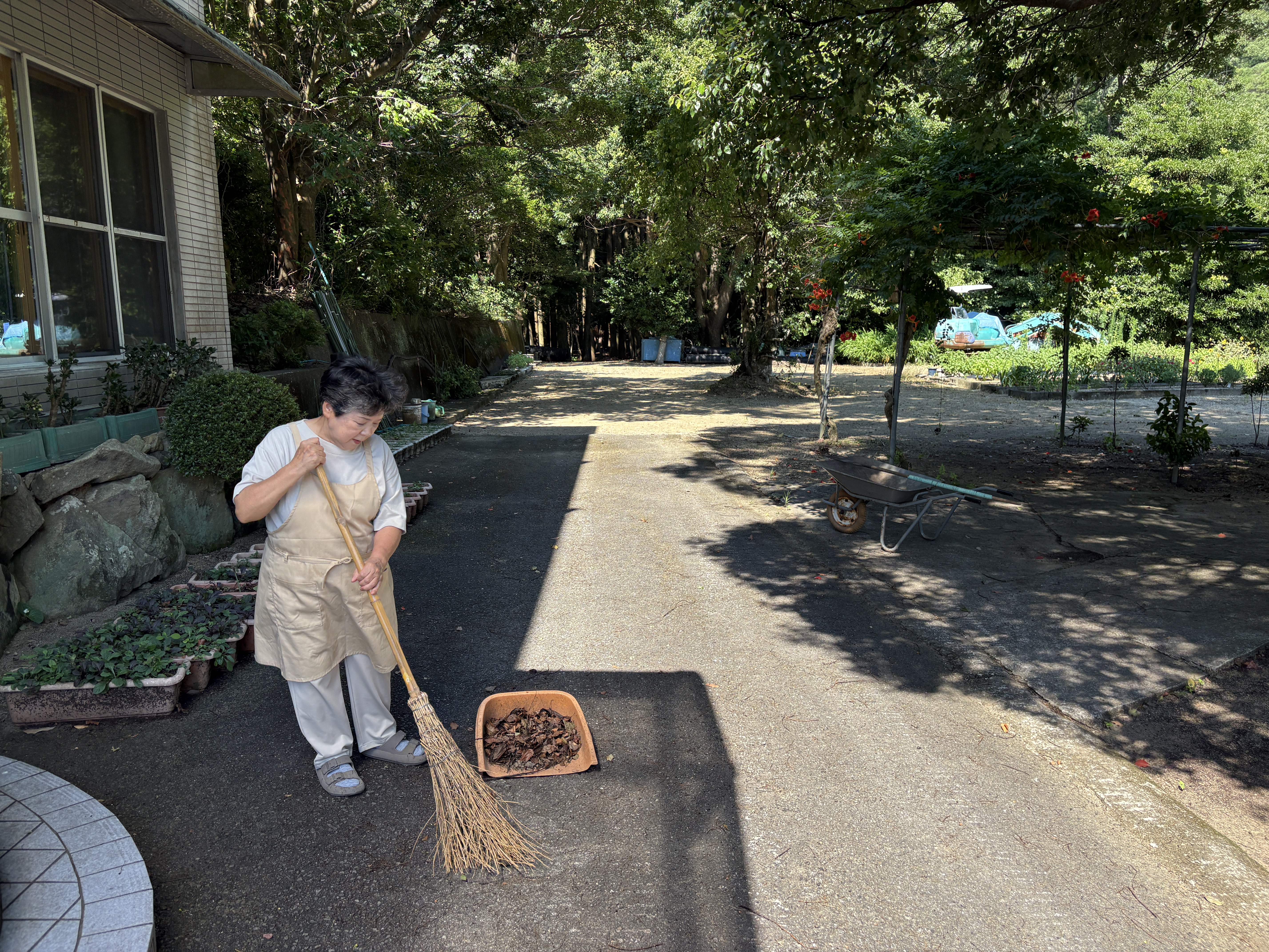 庭お掃除中