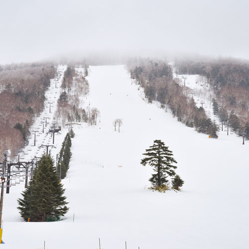 **【一の瀬スキー場】志賀高原の上質な雪で初心者から上級者まで思う存分ウインタースポーツを満喫！