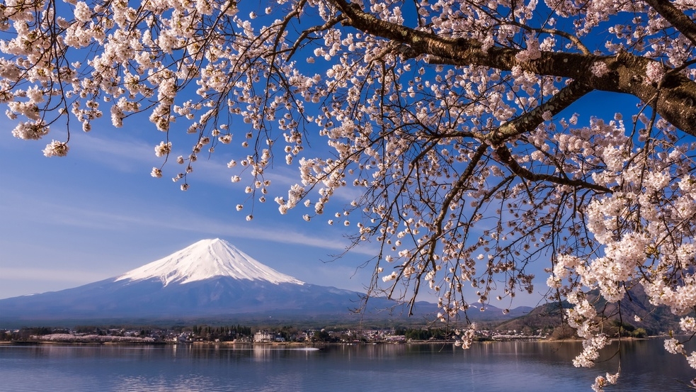 【月末スペシャルオファー】楽天トラベル限定★一番人気グレードアッププランをお得に【カップル】【美食】