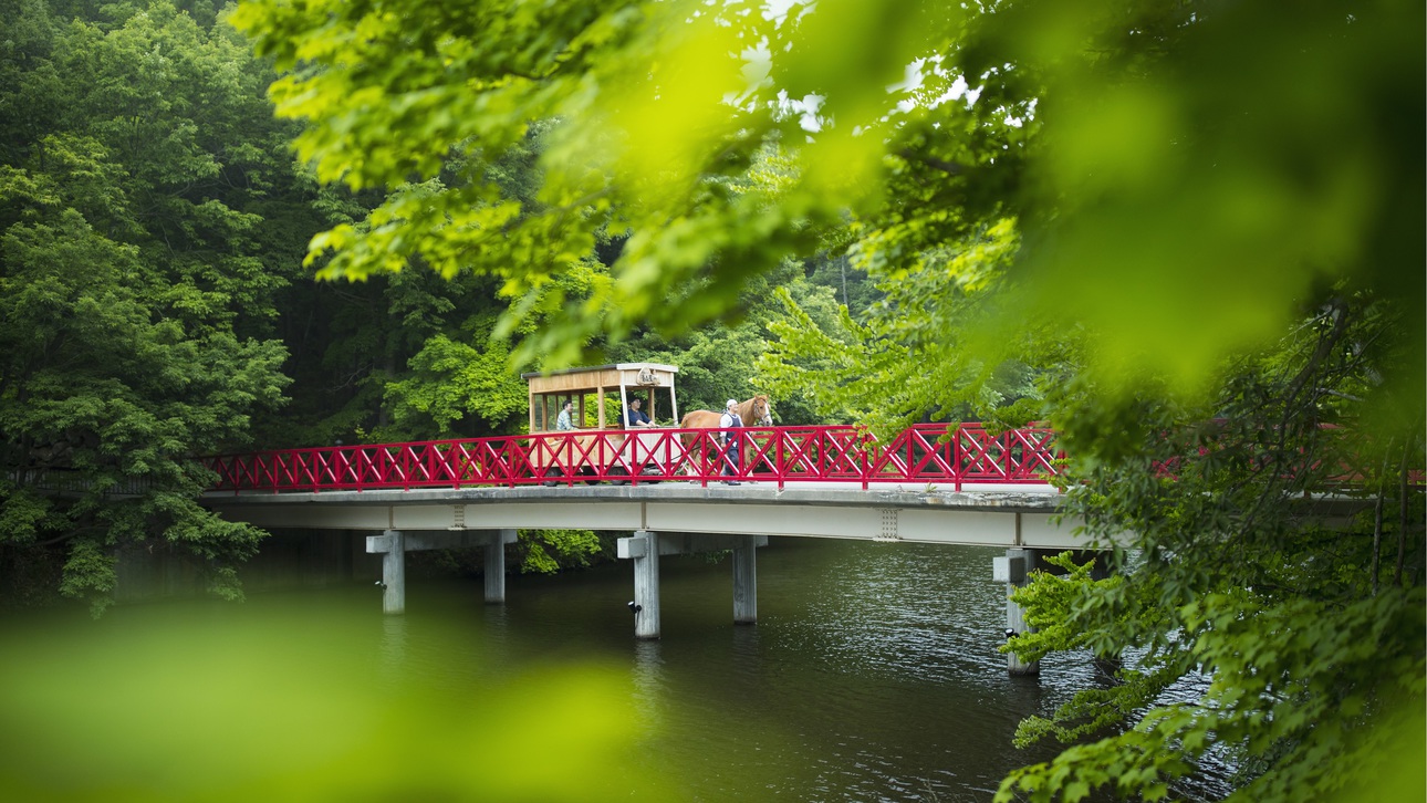 【公園めぐり馬車】