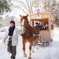 【公園めぐり馬車（冬）】