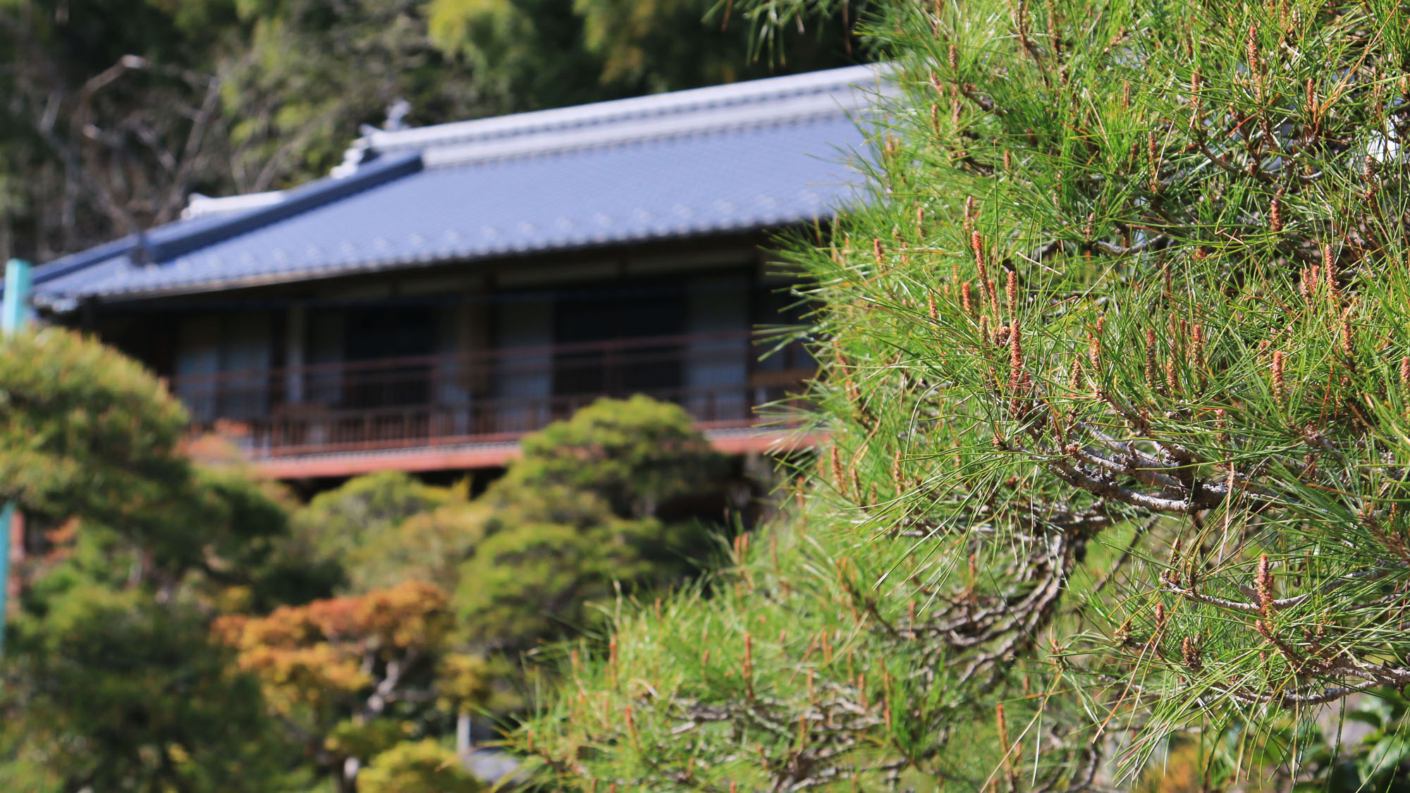 【外観】やしき自慢の日本庭園からの外観です*