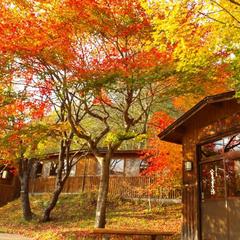 【八重九重の湯】