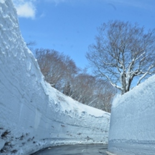 【八甲田　雪の回廊】