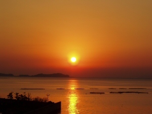 橘湾の夕日