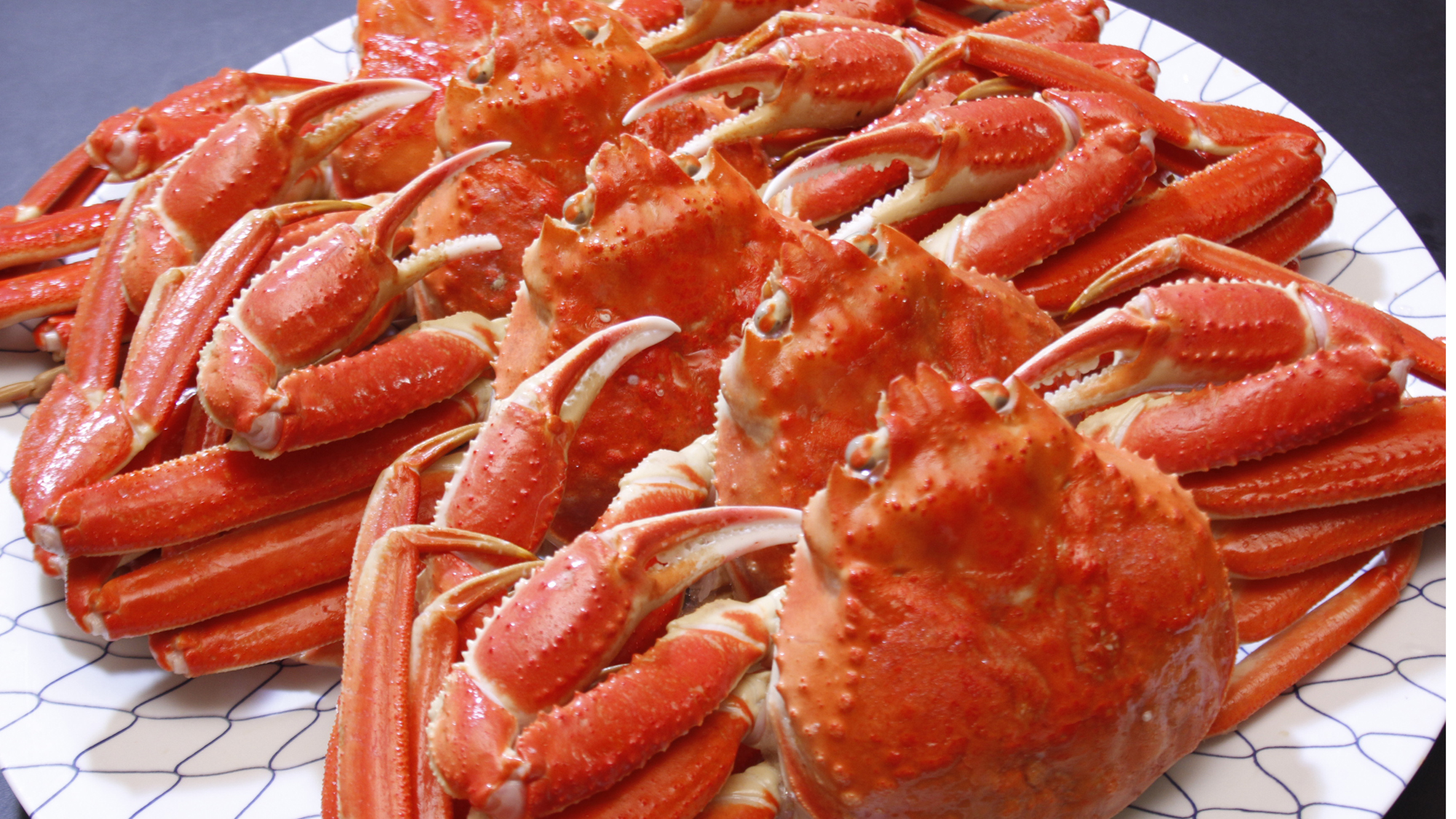 カニ　イメージ