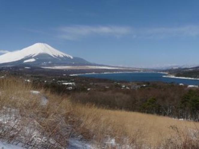 パノラマ台からの富士山