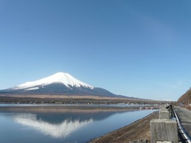長池公園からの富士山