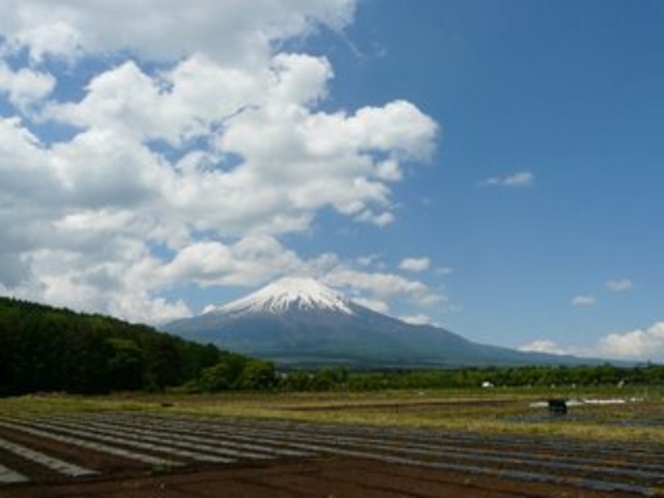 花の都公園からの富士山