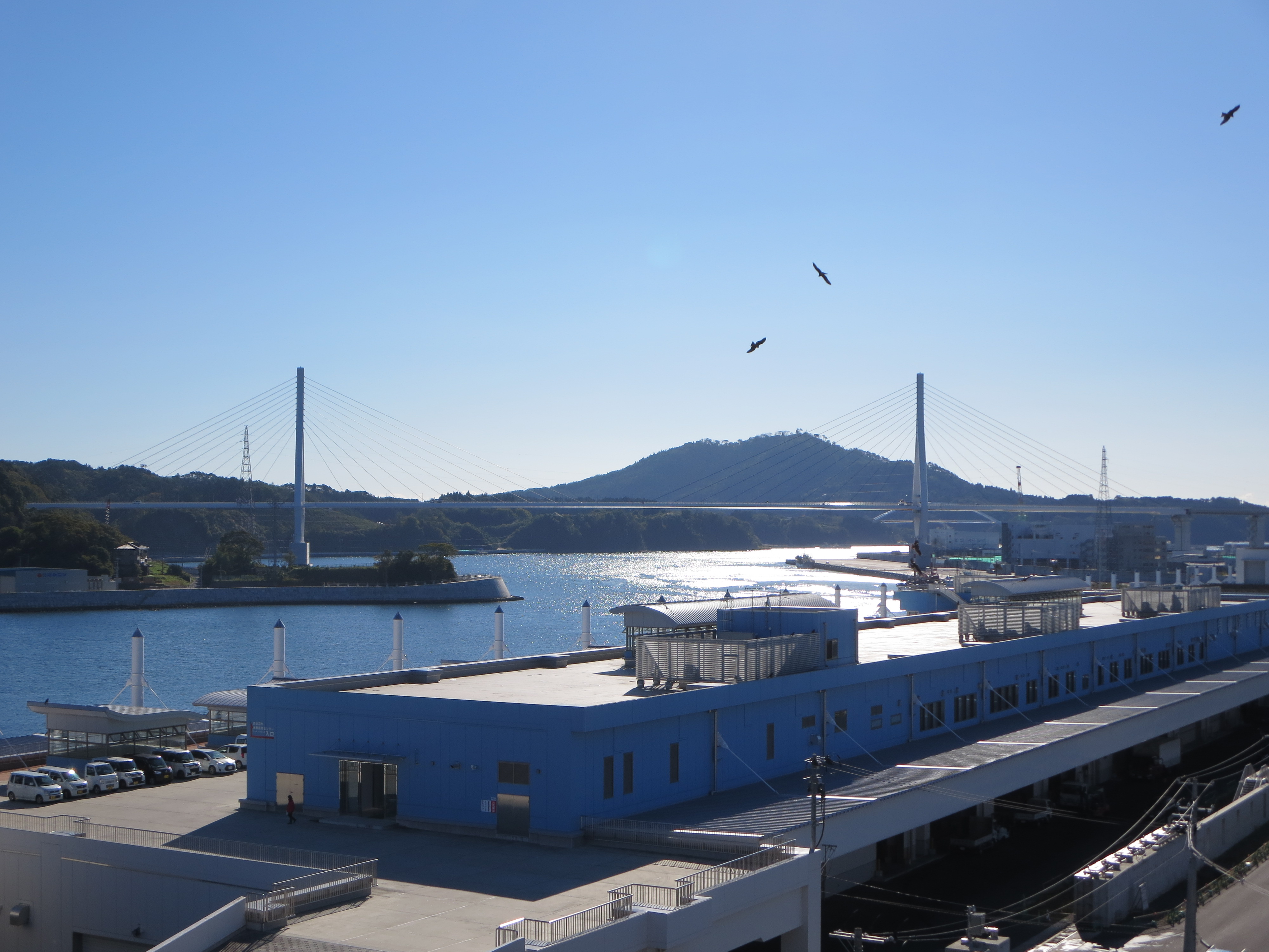 海と気仙沼湾横断橋２