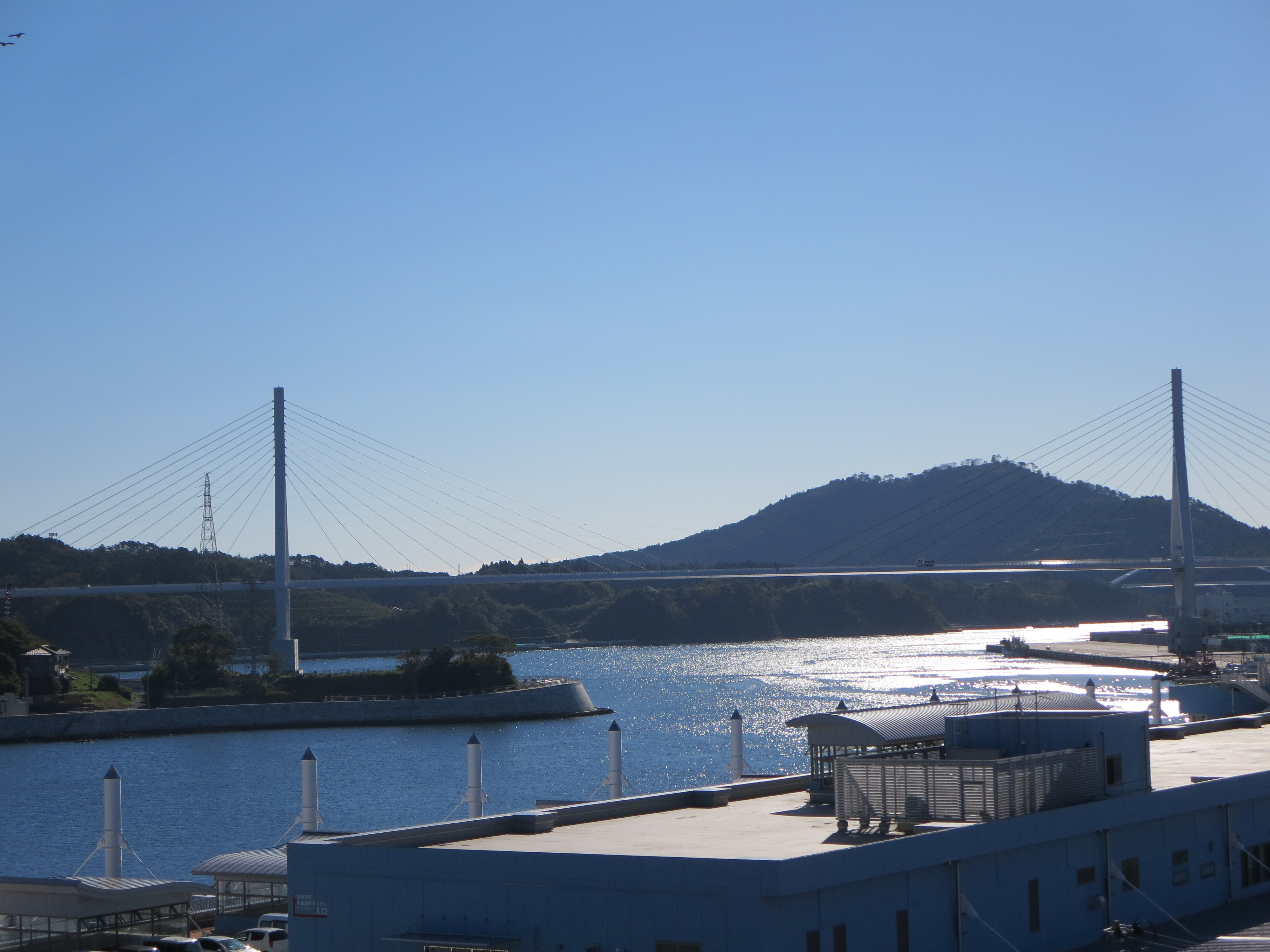 海と気仙沼湾横断橋１