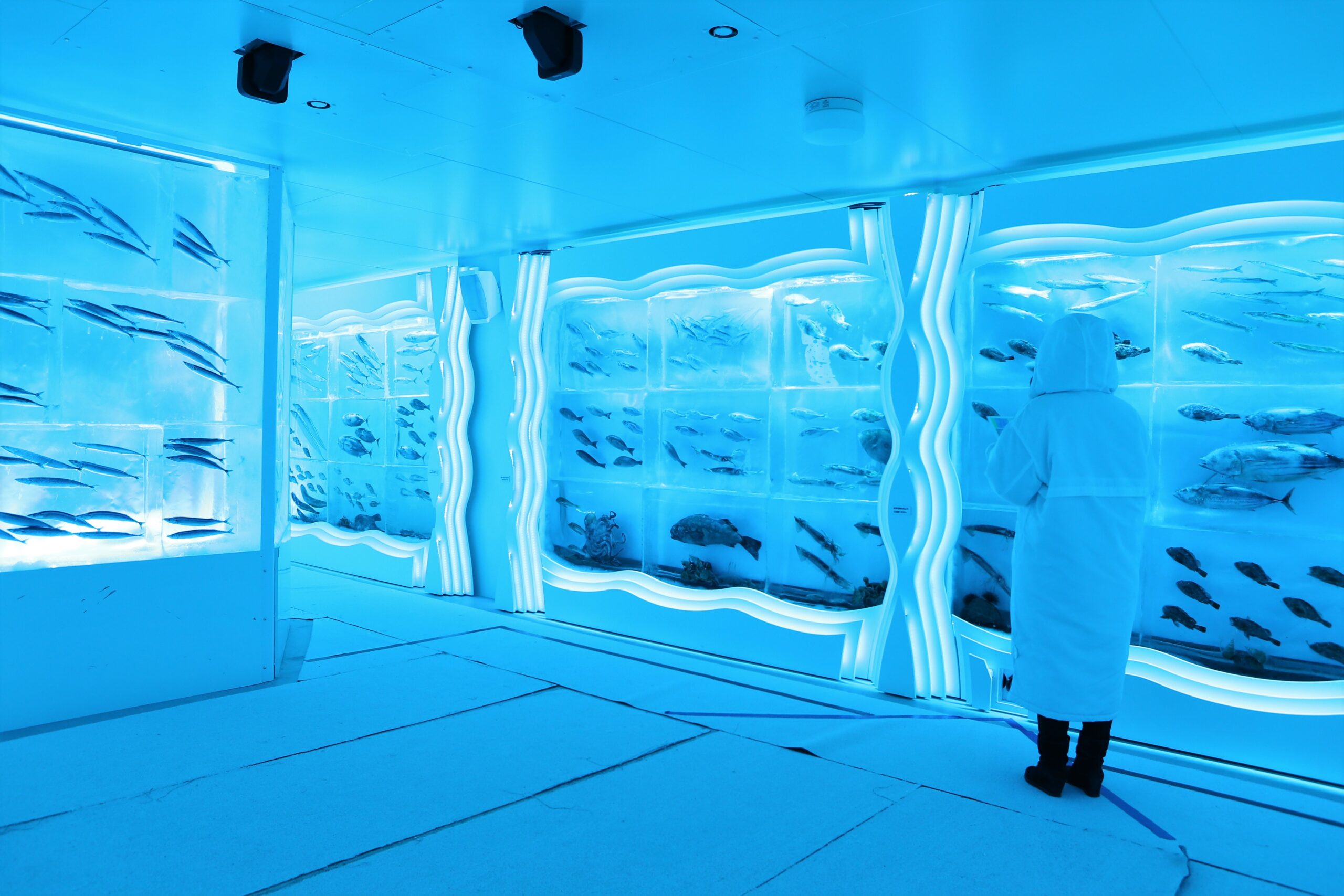 氷の水族館