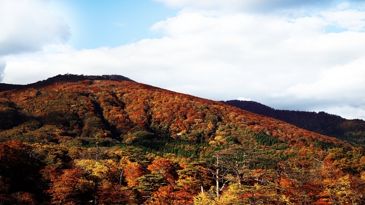 【紅葉狩りへ行こう】紅葉の名勝「鳴子峡」まで約6分！絶景トリップ♪朝食付プラン