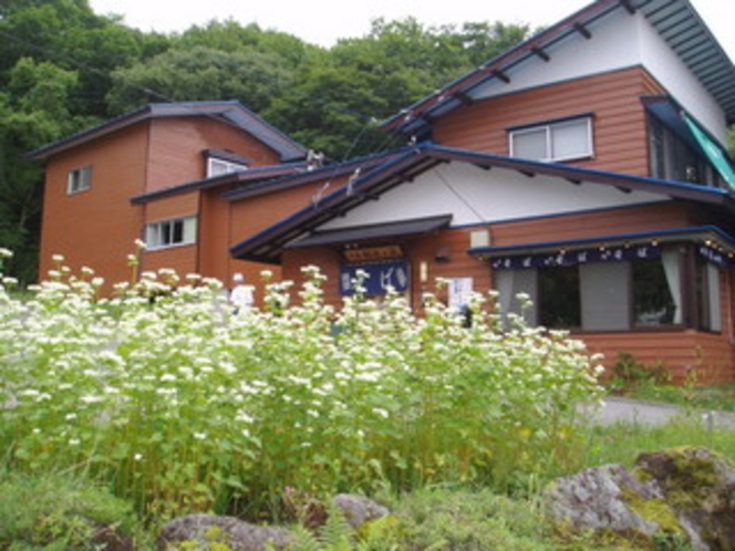 蕎麦の花と概観