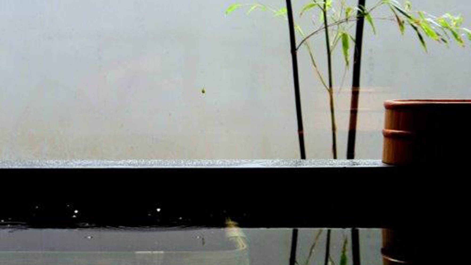 ＜期間限定＞日高産「天然本クエ」と「活け伊勢海老」　高級食材を味わう海の幸贅沢コース