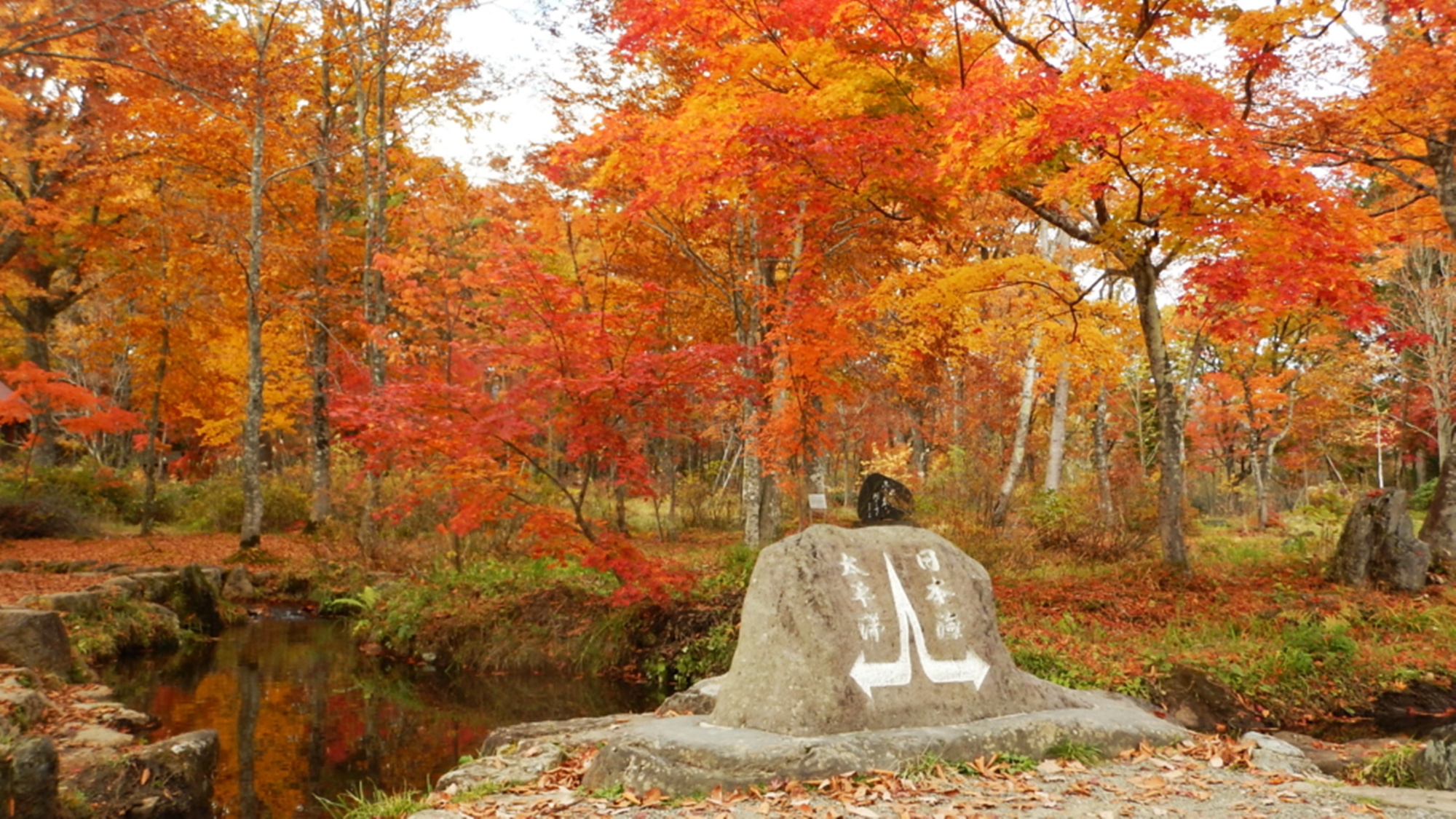 *【ひるがの分水嶺公園】当館より車で2分。紅葉のおススメスポットです。