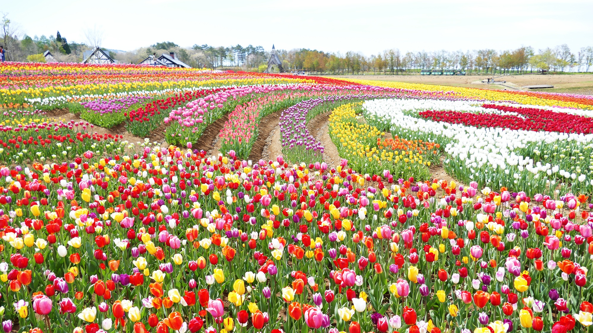 *【ひるがの高原 牧歌の里（グリーンシーズン）】当館より車で7分。ファミリーに大人気のテーマパーク。
