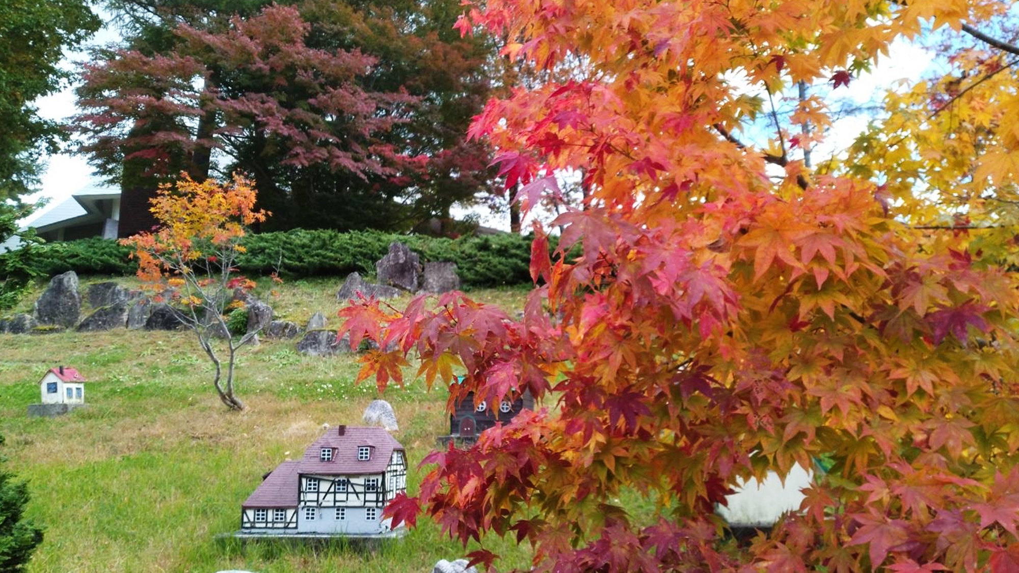 *【ひるがの高原 牧歌の里（紅葉）】当館より車で7分。